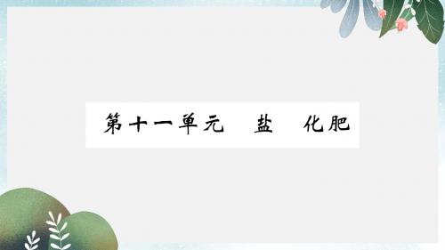 中考化学复习第1编教材知识梳理篇第11单元盐化肥精练课件