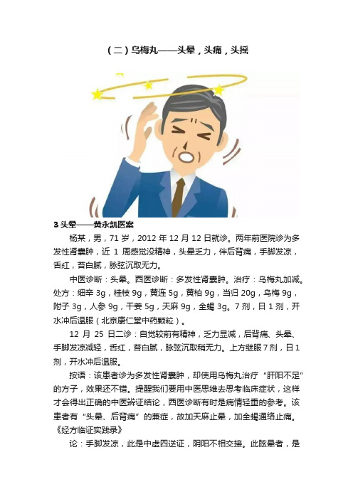 （二）乌梅丸——头晕，头痛，头摇