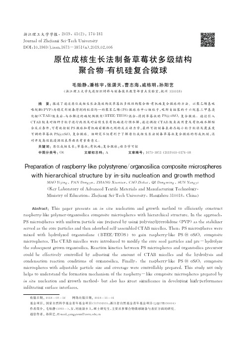 原位成核生长法制备草莓状多级结构聚合物有机硅复合微球