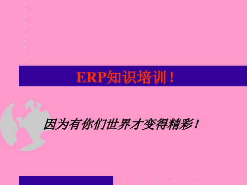 ERP软件简介精品PPT课件