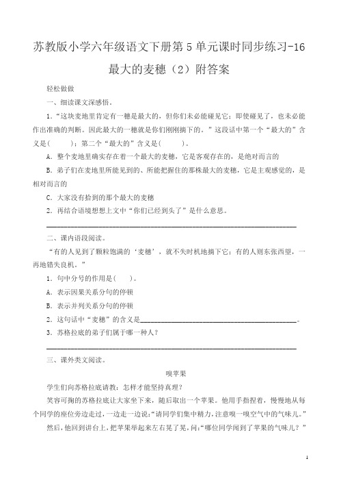 苏教版小学六年级语文下册第5单元课时同步练习-16最大的麦穗附答案