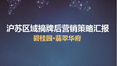 碧桂园翡翠华府营销策略汇报 PPT