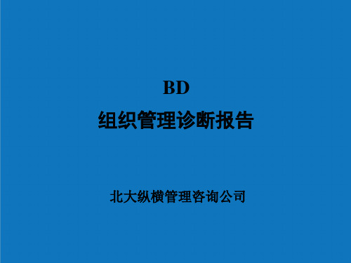 企业诊断-北大纵横BD组织管理诊断报告122 精品001