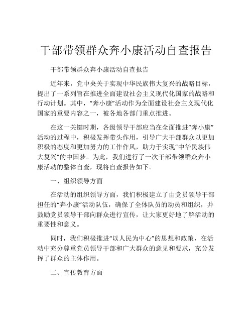 干部带领群众奔小康活动自查报告