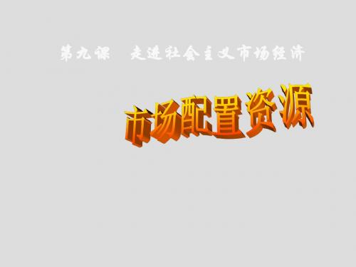 市场配置资源