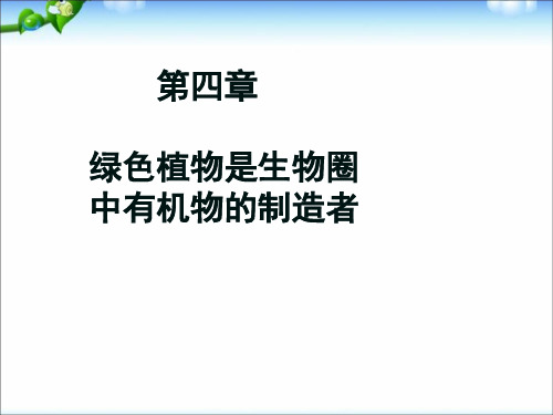 最新人教版初中初一七年级生物上册第四章_绿色植物是生物圈中有机物的制造者 (2)精品课件