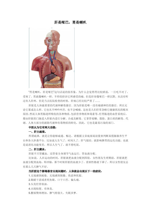 肝是哑巴,胃是喇叭