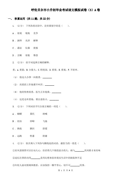 呼伦贝尔市小升初毕业考试语文模拟试卷(3)A卷