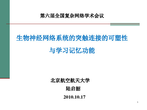 生物神经网络系统突触连接的可塑性