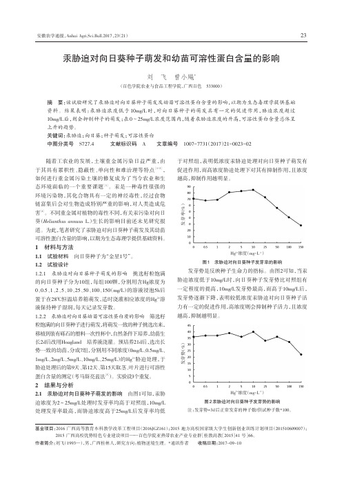 汞胁迫对向日葵种子萌发和幼苗可溶性蛋白含量的影响