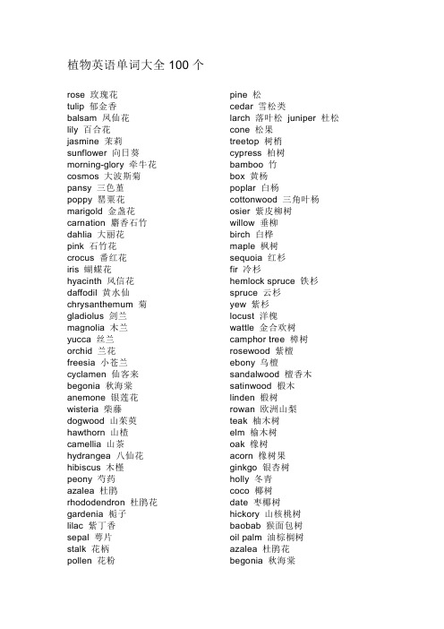 植物英语单词大全100个