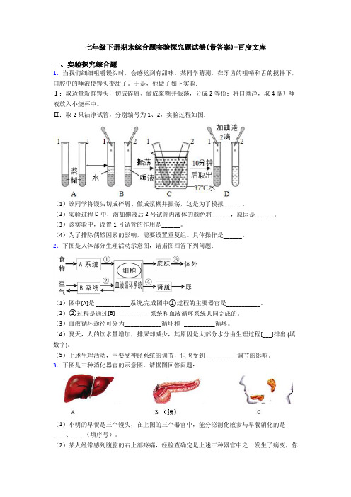 七年级下册期末综合题实验探究题试卷(带答案)-百度文库