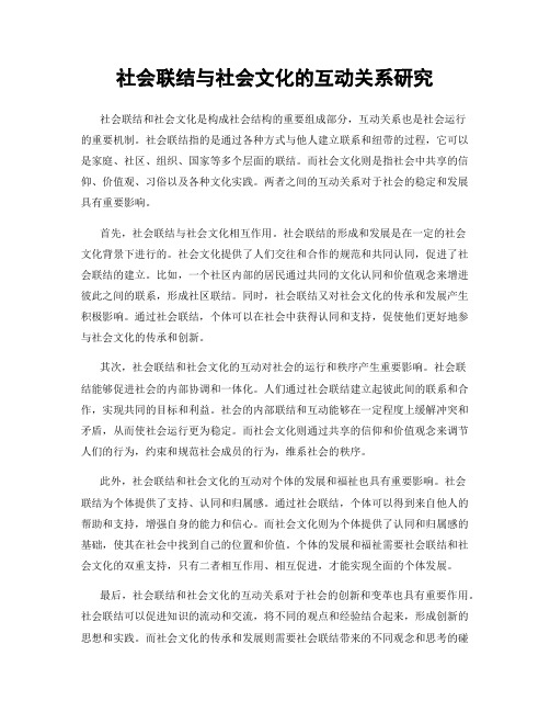 社会联结与社会文化的互动关系研究