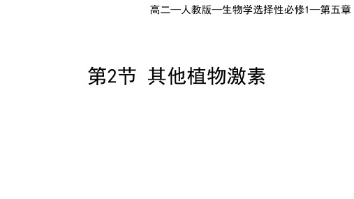 人教版高中生物选择性必修第1册 第5章 植物生命活动的调节 第2节 其他植物激素