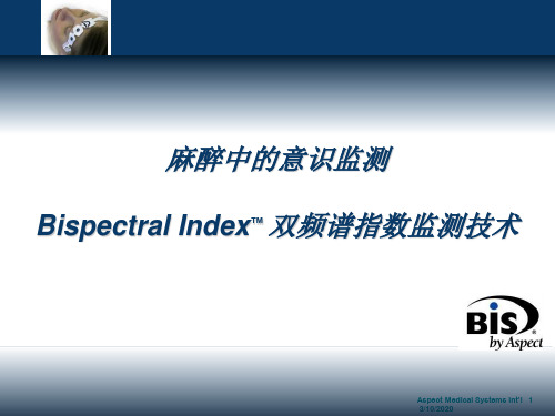BIS VIS 使用指导