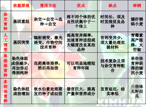 常见育种方法(PPT)5-2