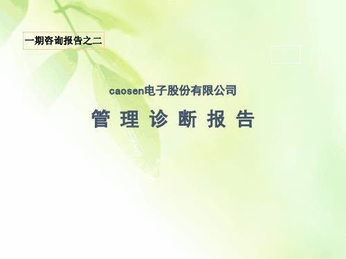 caosen电子股份有限公司内部管理诊断报告(ppt 169).ppt