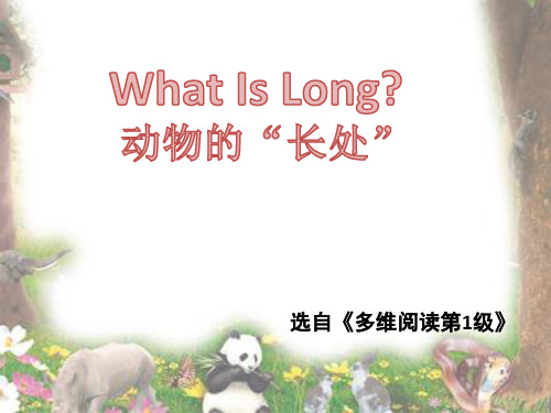 多维阅读第1级—What Is Long  动物的“长处”_41