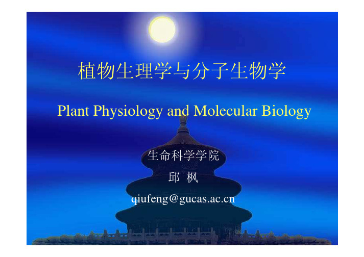 植物生理与分子生物学课件-9[1].14