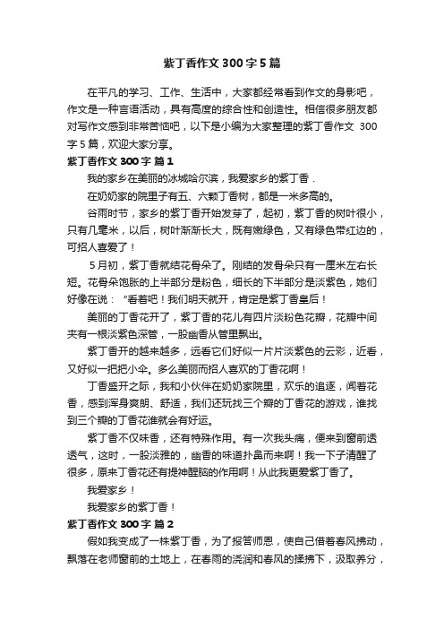 紫丁香作文300字5篇