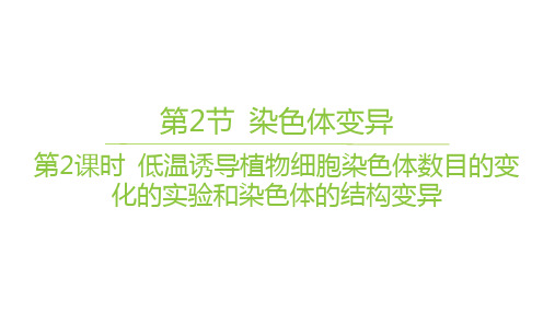 人教版高中生物学必修2精品课件 第5章 低温诱导植物细胞染色体数目的变化的实验和染色体的结构变异