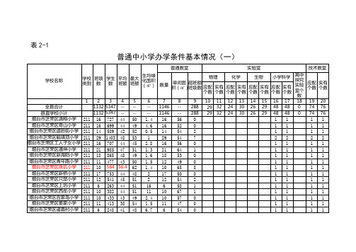 普通中小学办学条件基本情况申报表