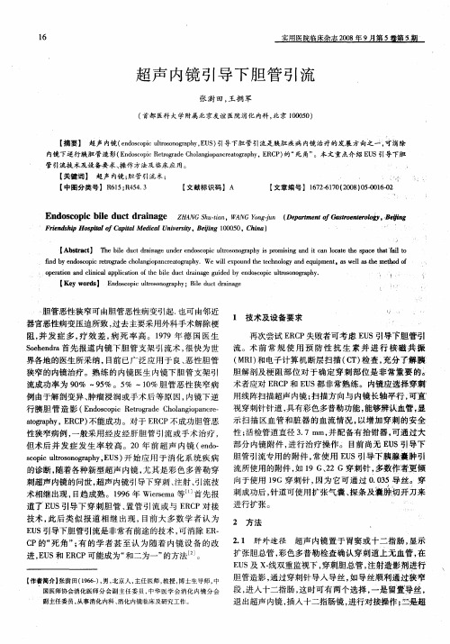 超声内镜引导下胆管引流