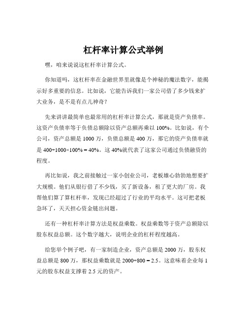 杠杆率计算公式举例