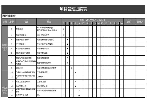 产品项目进度计划表(详细)