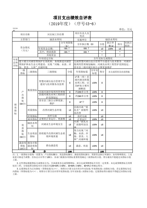 项目支出绩效自评表 