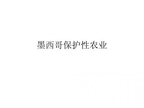 墨西哥