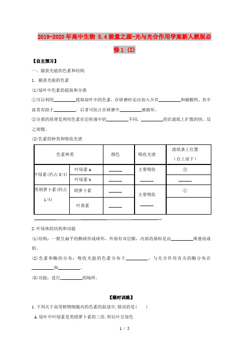 2019-2020年高中生物 5.4能量之源-光与光合作用学案新人教版必修1 (I)