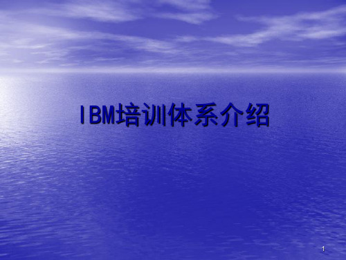 《IBM培训体系介绍讲解课程课件》(37页)