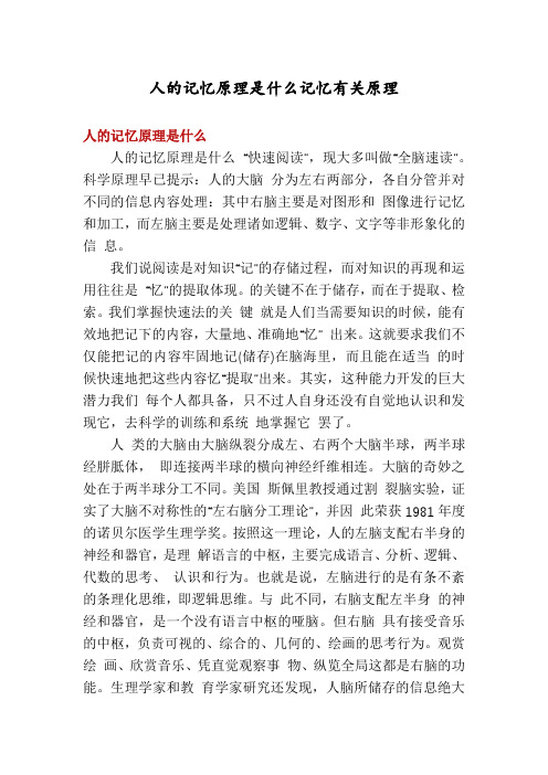 人的记忆原理是什么记忆有关原理