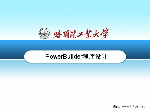 第四章 PowerBuilder数据库使用