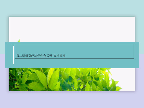 第二讲消费经济学你会买吗-文档资料