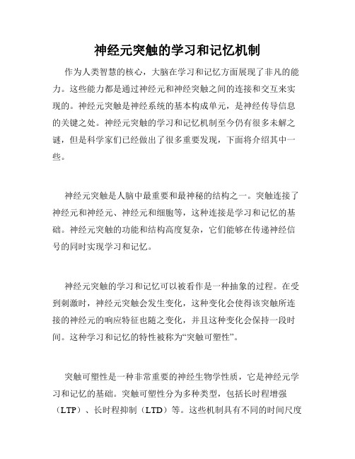 神经元突触的学习和记忆机制