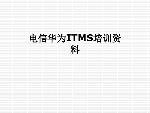 电信华为ITMS培训资料