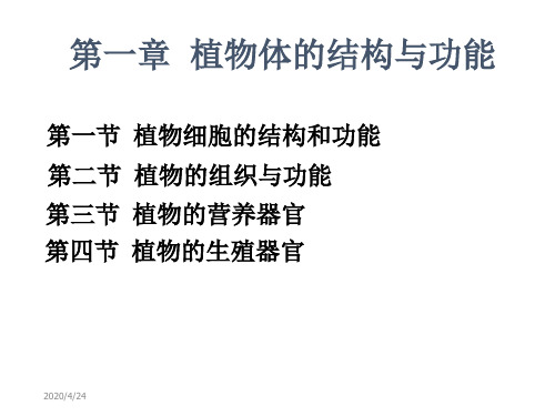 植物生产和环境课件第一章