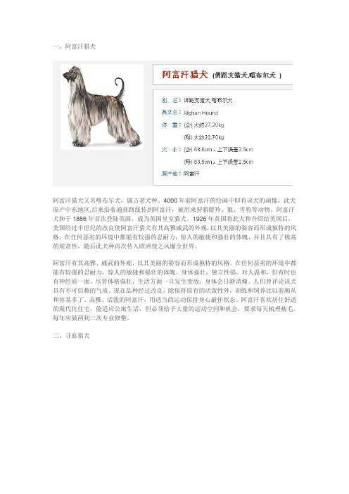 世界名犬大全之大型犬-带图