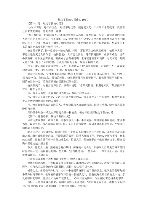 触动了我的心灵作文800字