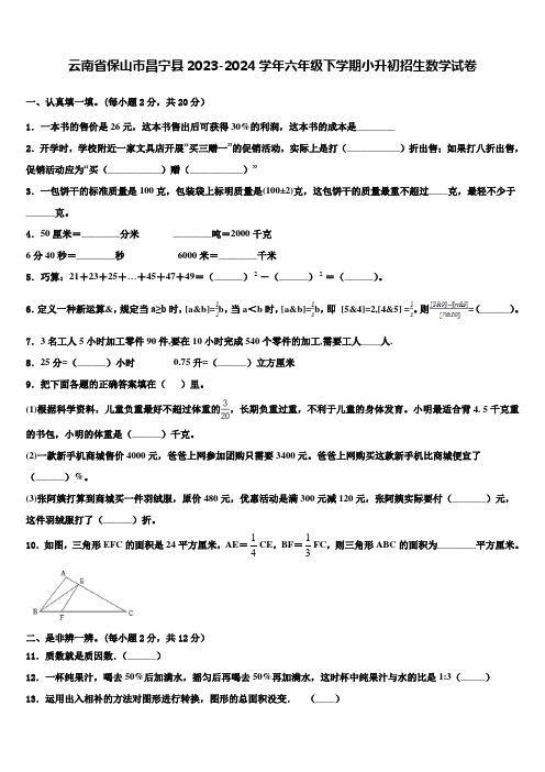 云南省保山市昌宁县2023-2024学年六年级下学期小升初招生数学试卷含解析