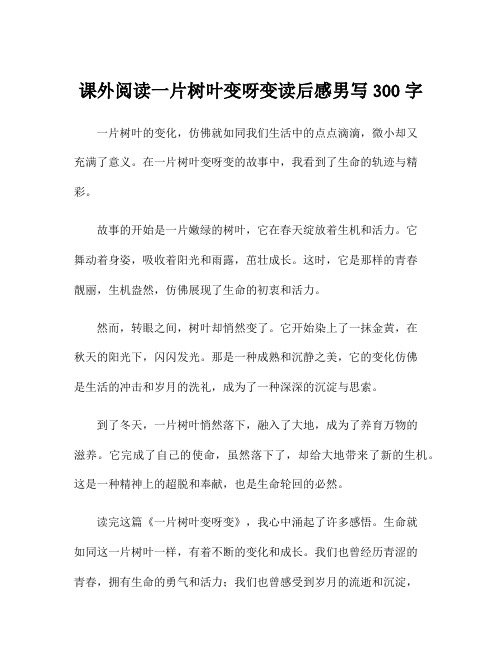 课外阅读一片树叶变呀变读后感男写300字