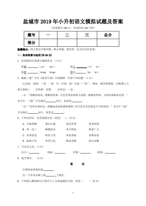 盐城市2019年小升初语文模拟试题及答案