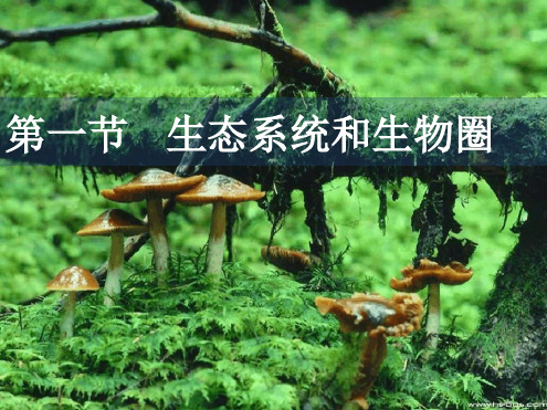 苏教版必修3第一节生态系统和生物圈课件