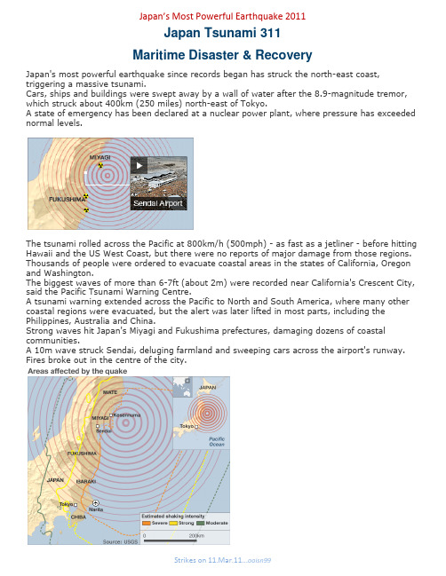 2011 Japan Tsunami
