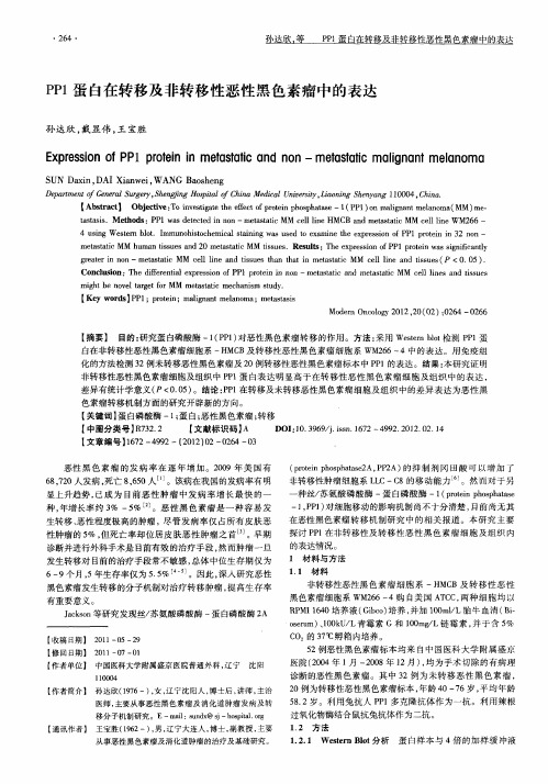 PP1蛋白在转移及非转移性恶性黑色素瘤中的表达