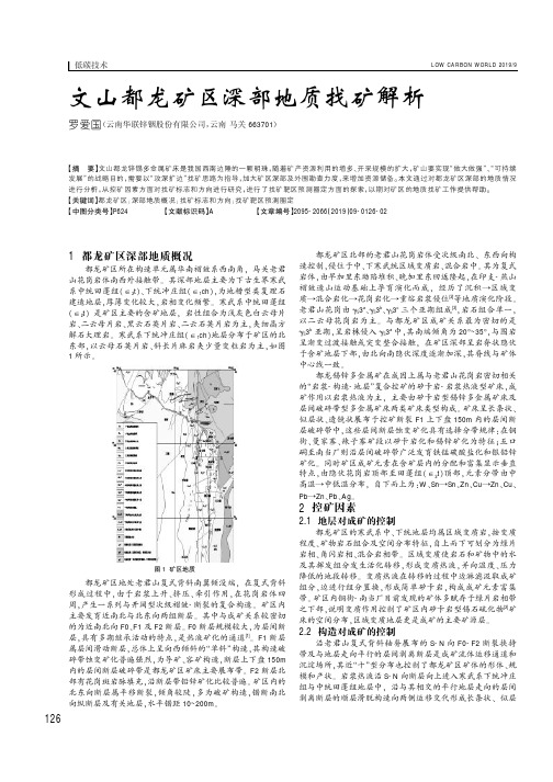 文山都龙矿区深部地质找矿解析