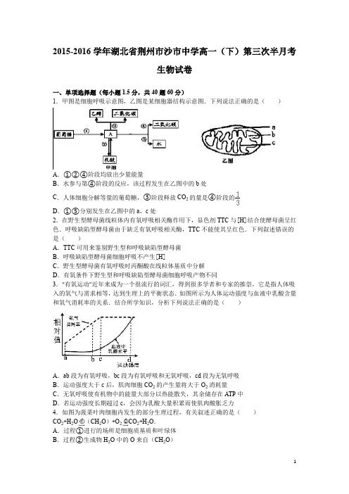 学年湖北省荆州市沙市中学高一下第三次半月考生物试卷