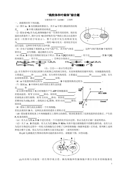 “线粒体和叶绿体”综合题